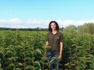 entrevista fruticultura profesional kaki